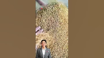 #fcnfm Unlock Efficiency: The Mobile Advantage in Grain Drying