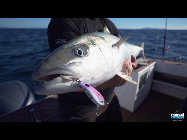 The Most Versatile Stick-Bait: Nomad Madscad 