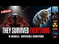 What's the Only Animal That Has Survived Outer Space, Five Mass Extinctions, and Absolute Zero?