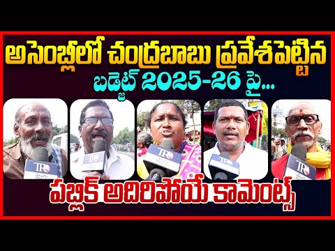 Public Reaction On Ap Budget || Chandrababu || Pawan Kalyan || Ap Public Talk || Telugu Rajyam