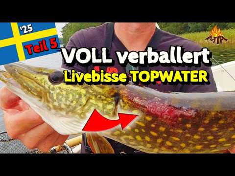 Angeln auf Hecht und Barsch in Schweden mit High-Tech 😂🎣🇸🇪 (Teil 5)