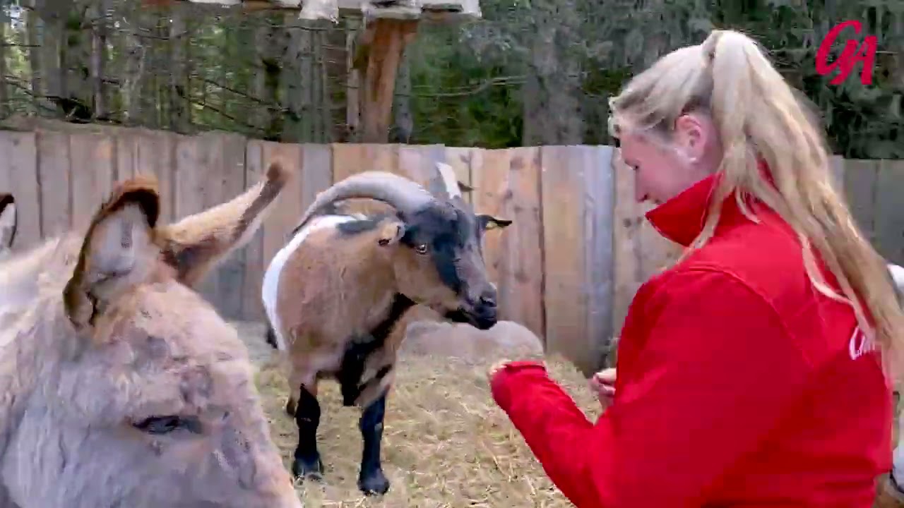 Muttertags-Special mit Anja Wendzel