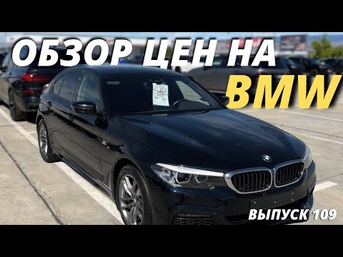 Обзор цен на BMW. АвтоРынок в Грузии 2022. Выпуск 109. Мастер Вадя.