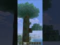Mecánicas de Minecraft que parecen HACKS 💻