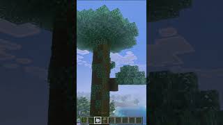 Mecánicas de Minecraft que parecen HACKS 💻