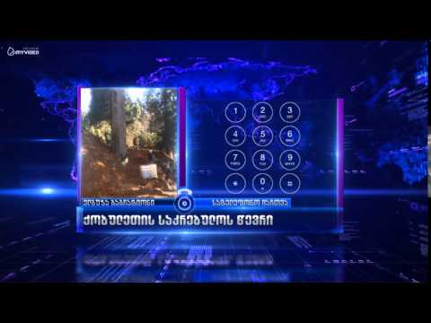 ციხისძირში ხეები გააქვთ