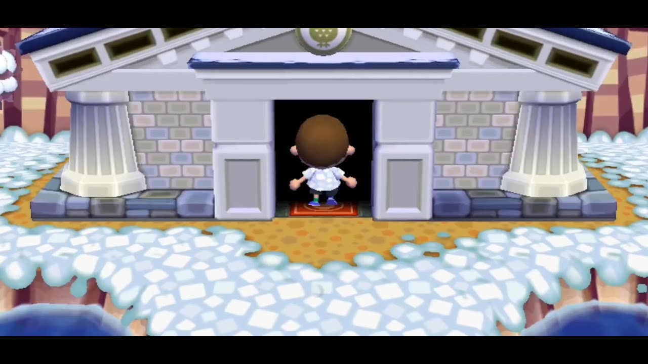 Animal Crossing Wii : Complétion du musée.