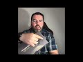 Remote control lights review 