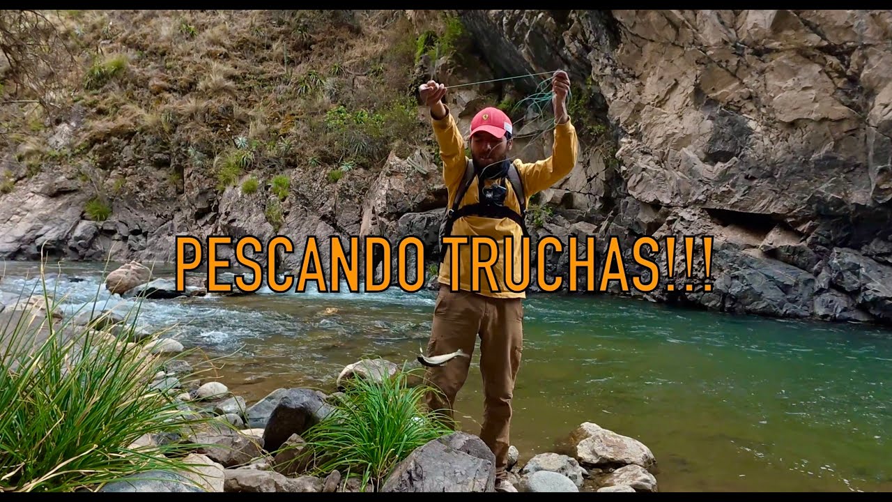 PESCA DE TRUCHAS CON MARIPOSA!!!  4K