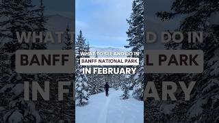 Why You Should Visit Banff National Park in February - #shorts