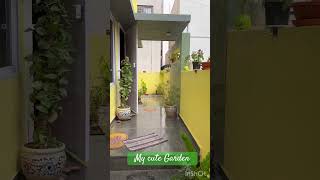 My lovely garden 😍😍