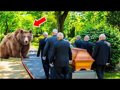Bear Interrupts Funeral, Then Coffin Started Shaking When He Roared！