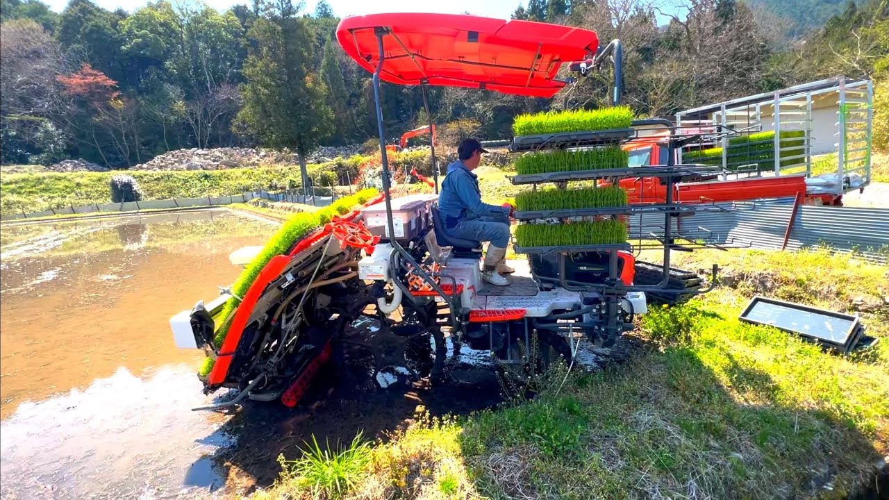 Kubota】『NW8S GS 』Agriculture 8条植え 田植え機 早すぎる 田植え