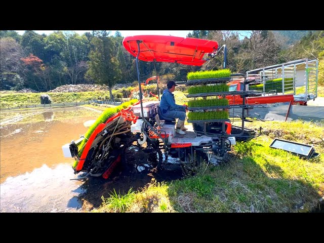 Kubota】『NW8S GS 』Agriculture 8条植え 田植え機 早すぎる 田植え
