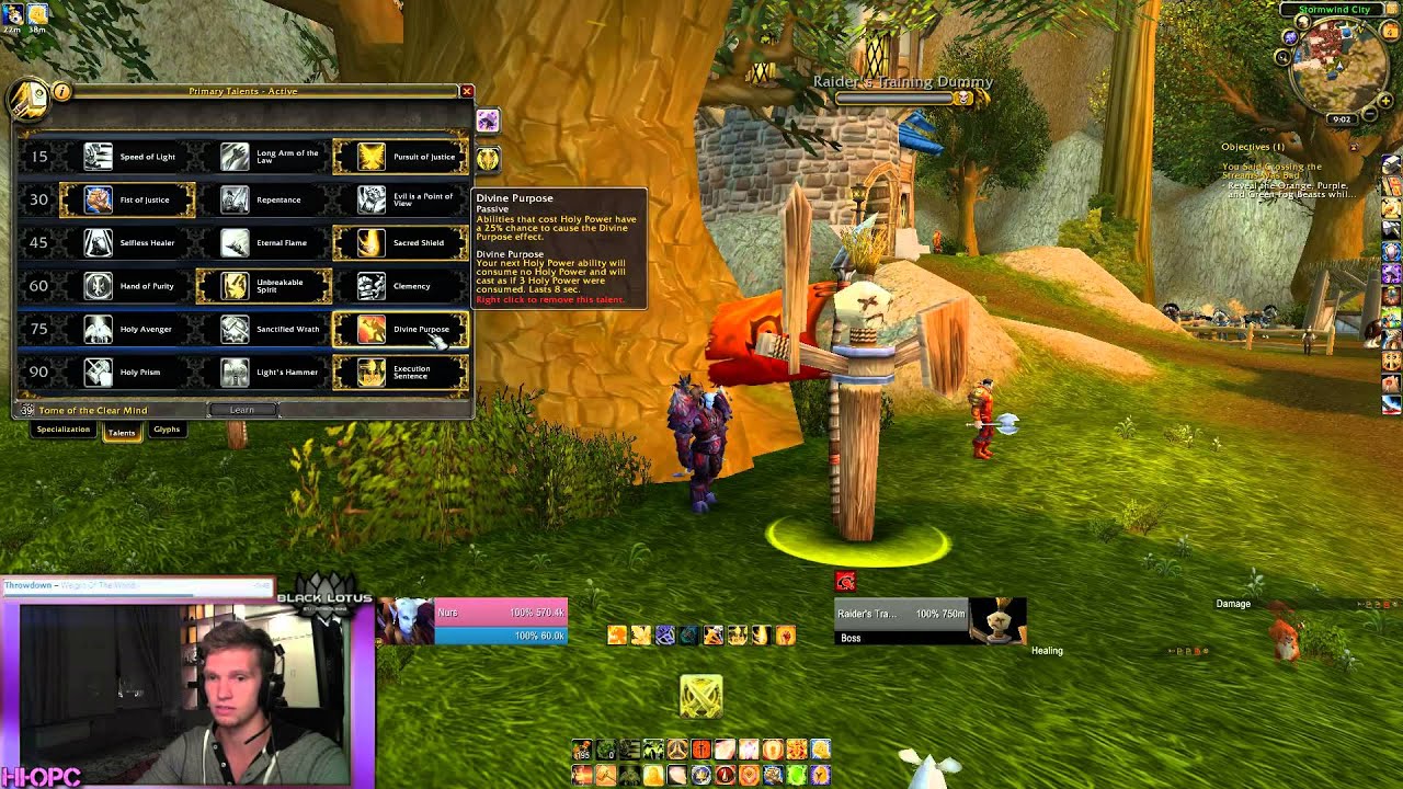 4. 3. паладин 5. 8 пвп. ретри пвп паладин.