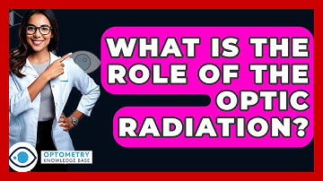 What Is The Role Of The Optic Radiation? - Optometry Knowledge Base