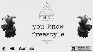 CNDN - You Know Freestyle (UNPREDICTABLE TAPE 2017)