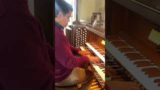 A Winter Afternoon, organ music by Rafael Scarfullery