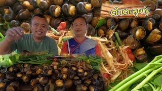 หอยเชอรี่สีทอง!กับส้มตำ ร้านตำตะลุยทุ่ง วัตถุดิบโครตสด! แซ่บบบบบ หอยเชอรี่สีทอง!กับส้มตำ ร้านตำตะลุยทุ่ง วัตถุดิบโครตสด! แซ่บบบบบ