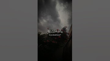 أكتب شيء تؤجر عليه 😴❤️|وإذ قال إبراهيم لأبيه أزر أتتخذ أصناما ألهه ياسر الدوسري#أيه#القران الكريم