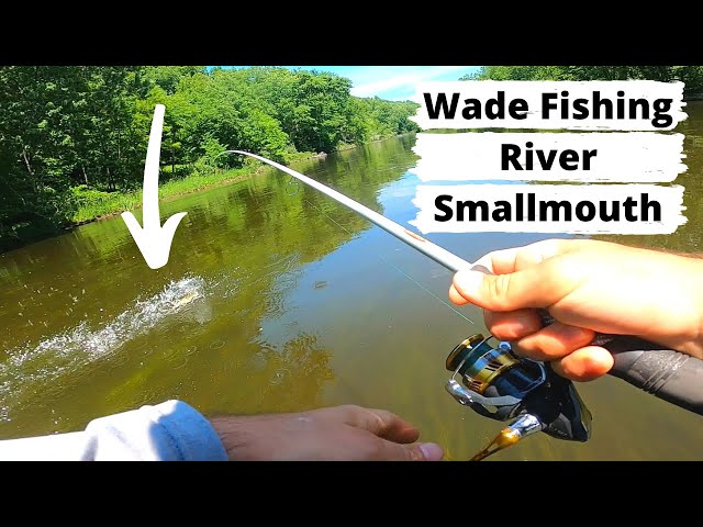 Wading the RIVER for SMALLMOUTH - Light Tackle! 