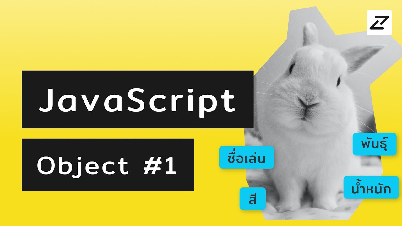 javascript ใช้โปรแกรมอะไรเขียน  2022  สอน JavaScript #07 - Object - สร้างกระต่ายในโปรแกรม