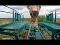 Cobra's curse day and night pov at Busch gardens Tampa 2/22/2022