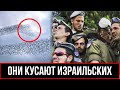 &quot;Эпидемия Среди Солдат Израиля: Как Микроскопический Враг Поставил на Колени Израильскую Армию!&quot;