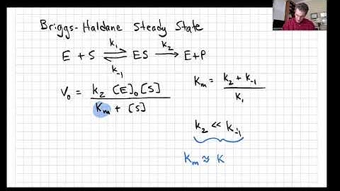 Lecture21_MultiStep Steady State Kinetics