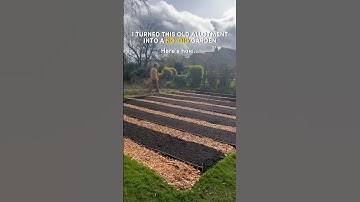 Unkept Allotment to NO-DIG Garden 🌱 #gardening #gardeningtips #nodig