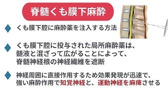 くも膜下 Youtube