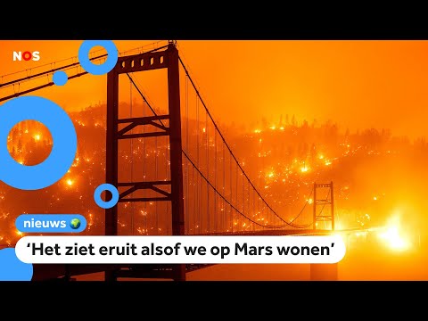 Video: Hoe Om Bosbrande Te Stop