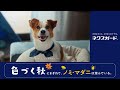 ネクスガード CM 2025年「大切なキミに、とびきりのケアを。」いろづく秋篇 15秒