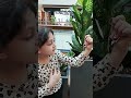 من غير لف ودوران اكسبلور مرح هوم هيلين وهيفي ليال سمرة من غير لف ودوران اكسبلور مرح هوم هيلين وهيفي ليال سمرة