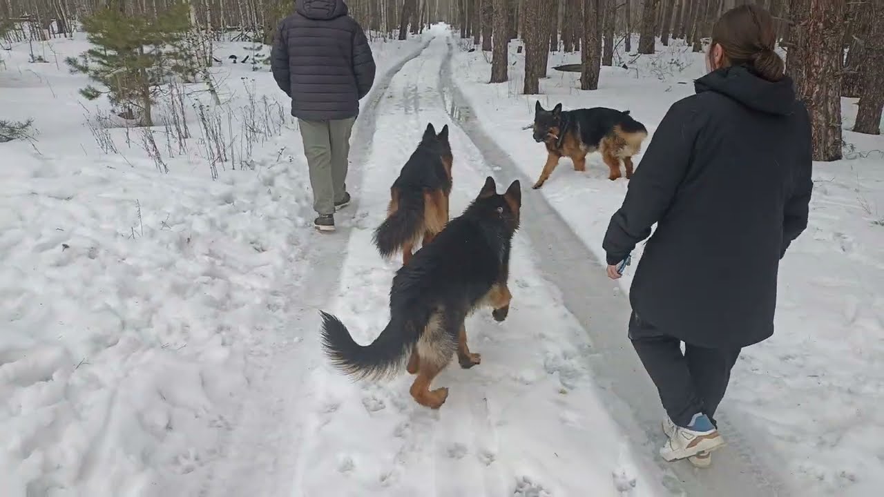 1 марта 2026 г.