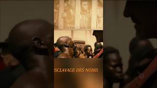 Esclaves Des Noirs É