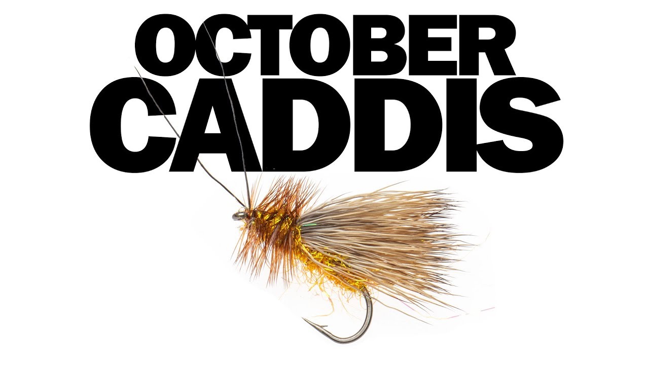Learn How To Tie The October Caddis