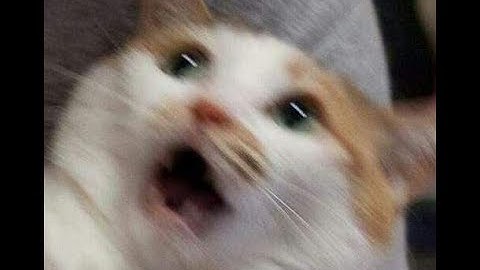 Test run Tree of Savior Skiaclipse Legend