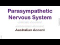 Parasympathetic Nervous System   How to Pronounce Parasympathetic Nervous System in American Accent?