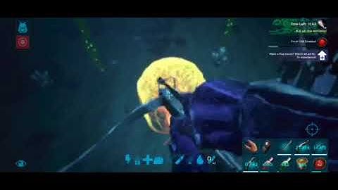 CUBOZOA MULTIS!!! Ark SE Mobile Ep 7