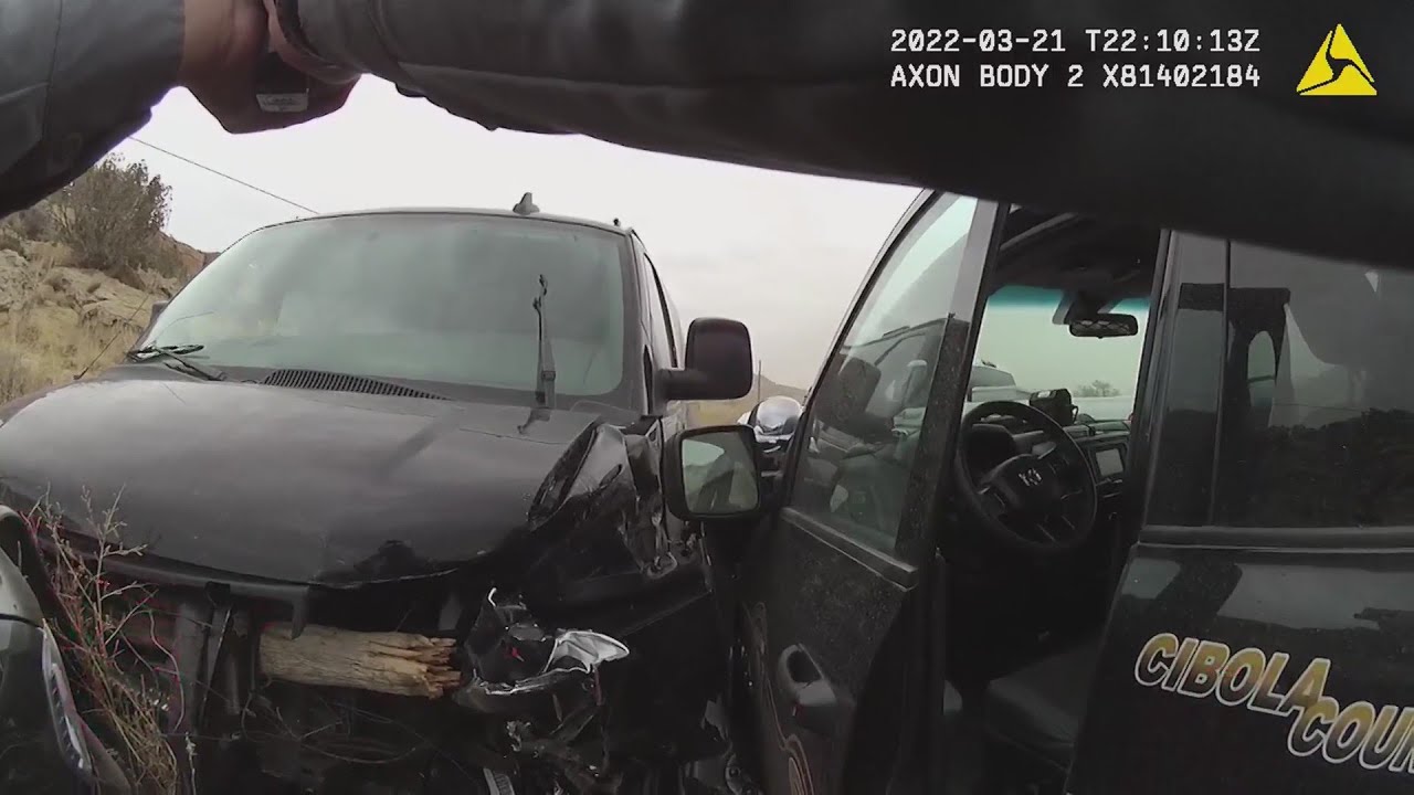 VIDEO: Prisoner takes over van during jail transport