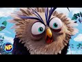 Red S Courtroom Scene Sentenced To Anger Management The Angry Birds Movie 