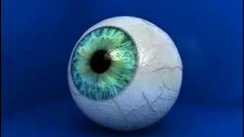 3D Eye Sharder + Iris Test