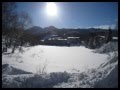 母恋吹雪