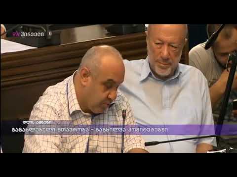 განახლებული მთავრობა - განხილვა კომიტეტში