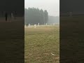 CP Cricket Academy