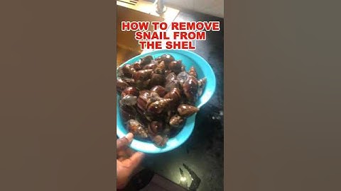 How to remove the snail from the shell without breaking it.