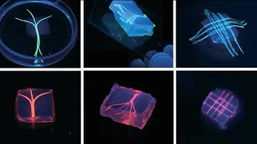 3D Technology: Building a Better Blood Vessel Video – Brigham and Women’s Hospital