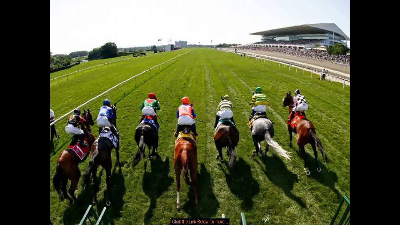 Horse Racing Betting Service Bet Alchemist