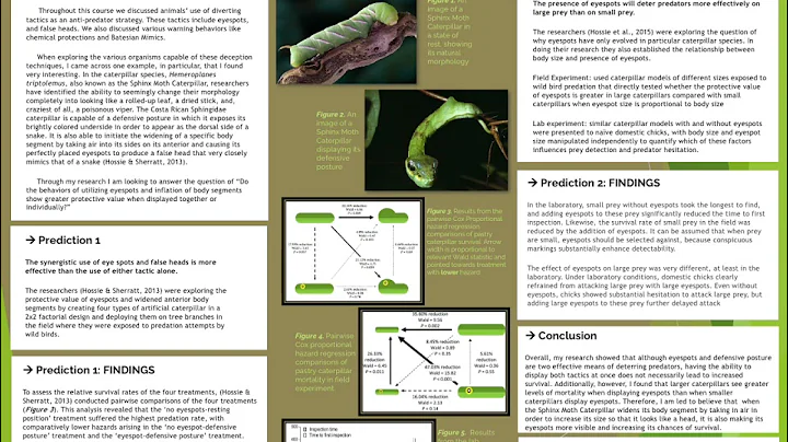 April Rowell  Final Poster Project